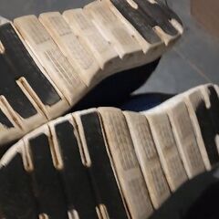 小学生運動靴 22.5cmの画像