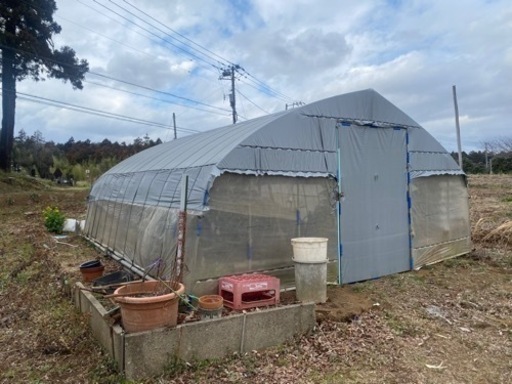 ビニールハウス&農具一式