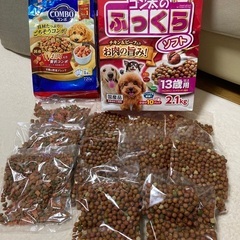 ドッグフード　犬　えさ　粒