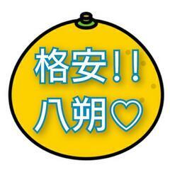 【お得】八朔