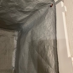 シンプルな猫用トイレの画像
