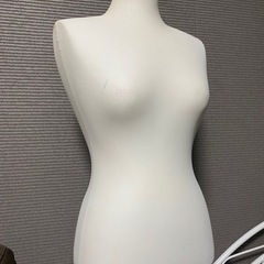トルソー(上半身)分解可能