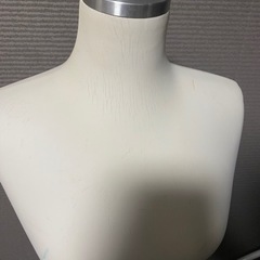 トルソー(上半身)分解可能の画像