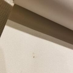 ニトリ　ロールスクリーン　ホワイト　遮光1級　２本
の画像