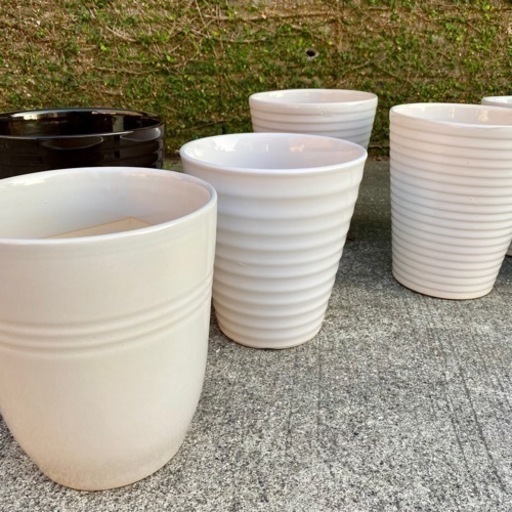 明日まで！陶器の鉢　1,000円〜　お好きなのを選んでお譲りします