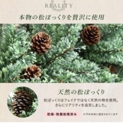 クリスマスツリーの画像