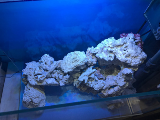 ライブロック 9.3kg