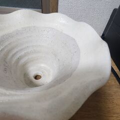 鉢植え　インテリアの画像