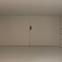 不二貿易　カラーボックス　3段　白色の画像