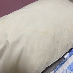3月に処分 無印の羽毛枕 蕎麦殻枕 差し上げます。の画像