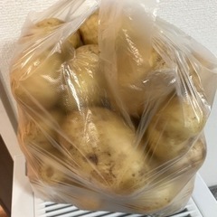 詰め放題～1次募集～