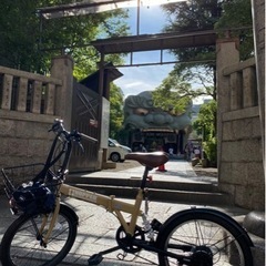 20インチ 折り畳み自転車 Hopper ホッパー 【現状渡し】三重県