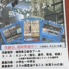 飛込選手募集(小〜中学生)