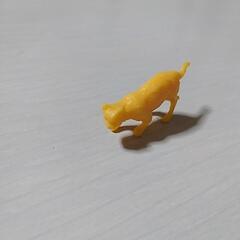 フエラムネのおまけ？の画像