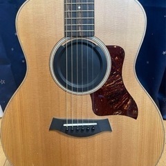 テイラー　gs mini の画像
