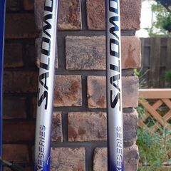 【メンテ済み】スキー板&ビンディング&ストック(Salomon)&スキーカバーの画像