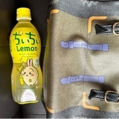 ロベルタヴィンテージミニボストンの画像