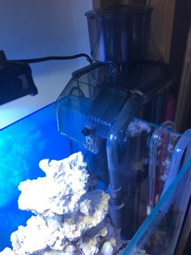 プロテインスキマー (海道達磨)