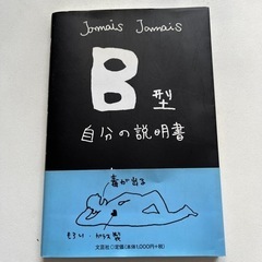 B型　自分の説明書