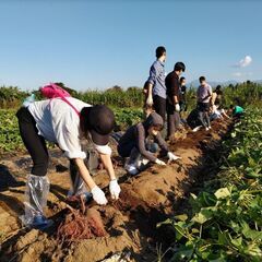 婚活BUS TOUR 〜温泉が好き、自然が好きな女性15名、募集します！あなたに旅のプレゼント - 地域/お祭り