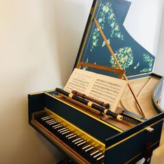 フルートの体験レッスンを受付中！リコーダー、フラウト・トラヴェルソ、オカリナも。３０分２０００円で、楽器演奏を始めてみませんか。楽器は無料貸し出しします。南大沢駅から徒歩10分、バス停柳沢から５分のフルート音楽教室です。の画像