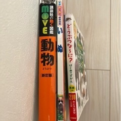動物本