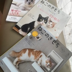 ねこのきもち
