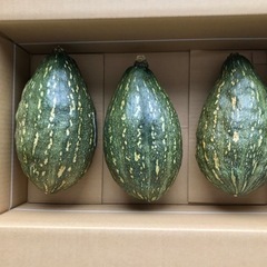 万次郎かぼちゃ　3個　カボチャ　南瓜　240219
