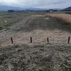 自然菜園に興味のある方！奈良県橿原市にある放棄地の田んぼと畑を自然農で再生します。 - メンバー募集