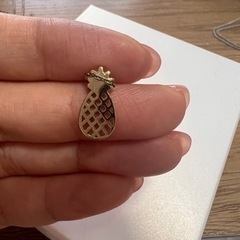 パイナップルネックレスの画像