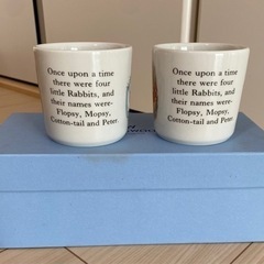 【新品:箱あり】WEDGWOOD ウェッジウッド ピーターラビット ペアマグカップの画像