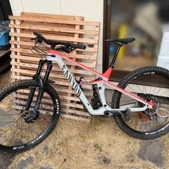 CANYON Strive CF7.0