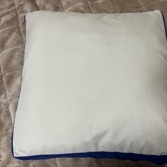 【決まりました】トゥルースリーパー　低反発座布団