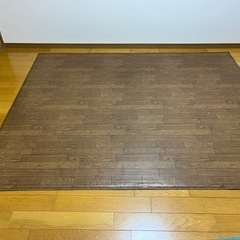 ホットカーペットの画像