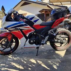 CBR250R (MC41)後期型ABS車【最終値下げ】の画像