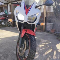CBR250R (MC41)後期型ABS車【最終値下げ】の画像