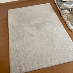 IKEA カーペット 本日