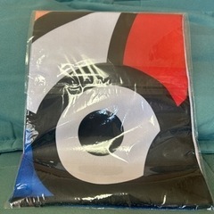 GORDYタオル 琉球ゴールデンキングスの画像