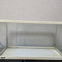 ３連休限定価格　小さめの水槽【6個セット】ばら売りも可