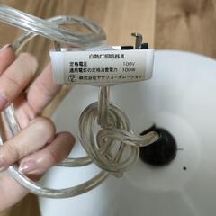 ペンダントライトの画像