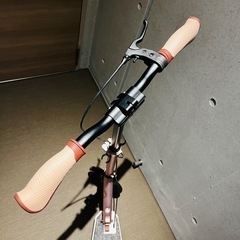 FRENZY キックボード 美品！の画像
