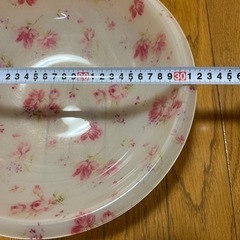 大きめ洗面器の画像