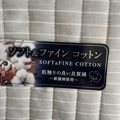 ★新品タグ付き★メンズ　Tシャツ　M ソフト＆ファインコットンの画像