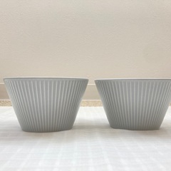 深鉢 2個セット