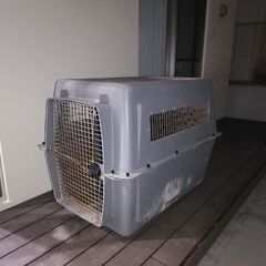 大型犬ゲージ　必要な方へ