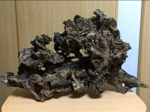 【天然一点物】極上流木