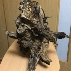 【天然一点物】極上流木の画像