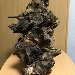 【天然一点物】極上流木の画像