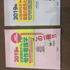 2019年 出題傾向が見える母性看護学、看護の統合と実践（ピラー...