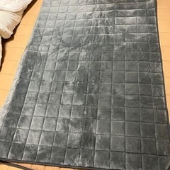 ⭐︎ふわふわ⭐︎ 【美品】 mofua ラグ (185×235cm)